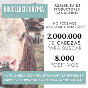 240033922_1670611099801026_5206777374250498184_n